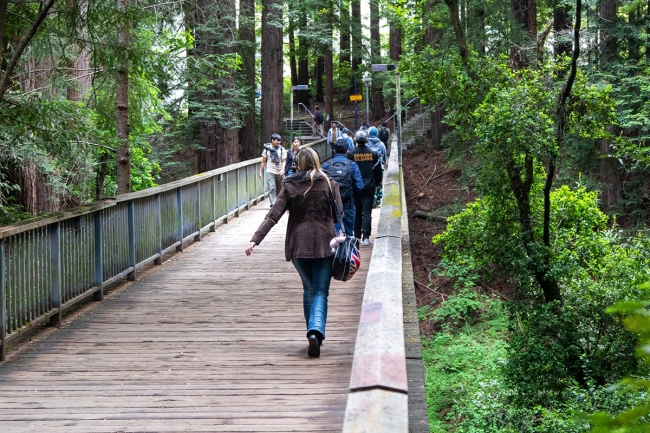 Will UC Santa Cruz s admissions gamble pay off